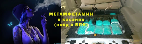 прущие грибы Беломорск